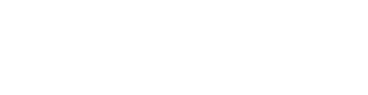 Persona